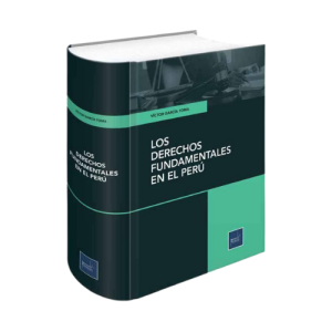 LOS DERECHOS FUNDAMENTAES EN EL PERÚ