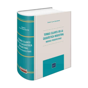 TEMAS CLAVES EN LA CASUÍSTICA REGISTRAL