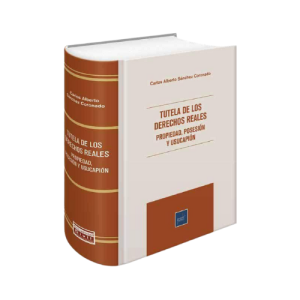 TUTELA DE LOS DERECHOS REALES