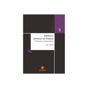 Justicia y proceso en Francia