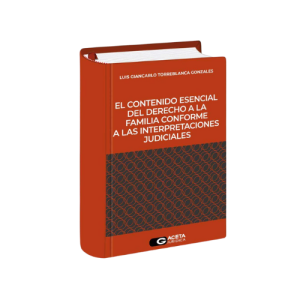 EL CONTENIDO ESENCIAL DEL DERECHO A LA FAMILIA CONFORME A LAS INTERPRETACIONES JUDICIALES
