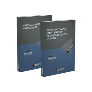 Principales Gastos Cuya Deducción se Encuentra Sujeta a Límites / Principales Gastos No Deducibles