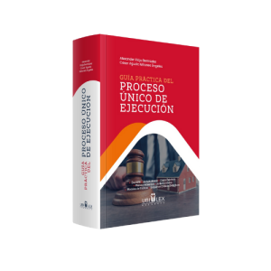 Guía práctica del proceso único de ejecución