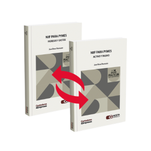 NIIF para PYMES. Activo y pasivo · NIIF para PYMES. Ingresos y gastos