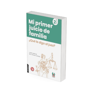 Mi primer Juicio de Familia