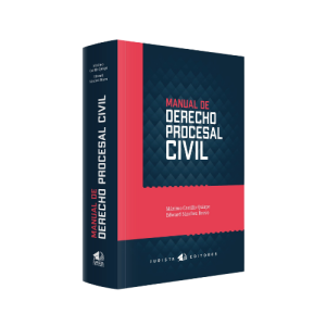Manual de derecho procesal civil