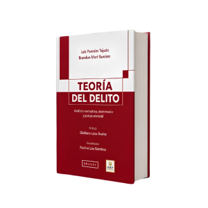 TEORÍA DEL DELITO