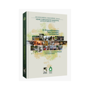El procedimiento sancionador ambiental