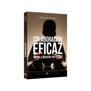 Colaboración eficaz: retos y desafios en el peru