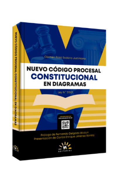 Manual de derecho procesal constitucional (2.ª edición)